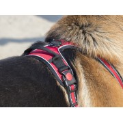 Pettorina imbracatura rifrangente per cani