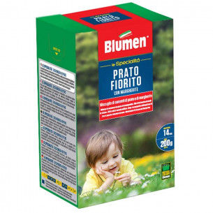 Semi Prato Fiorito con Margherite Blumen
