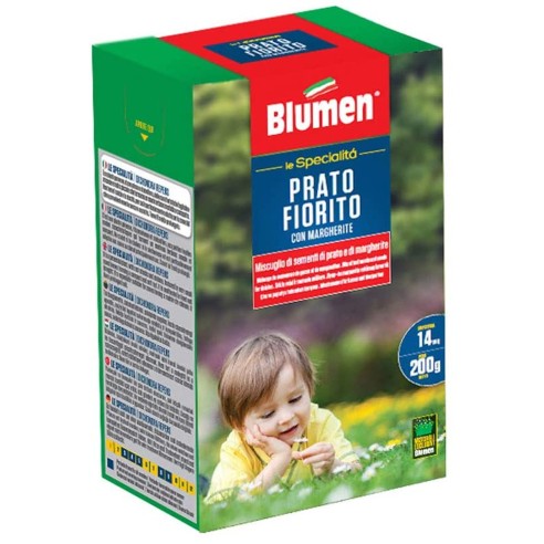 Semi Prato Fiorito con Margherite Blumen