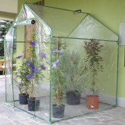 Serra da giardino Verdemax Clematis L155xP155xH205cm