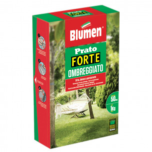 Sementi-Blumen-Prato-Forte-Ombreggiato