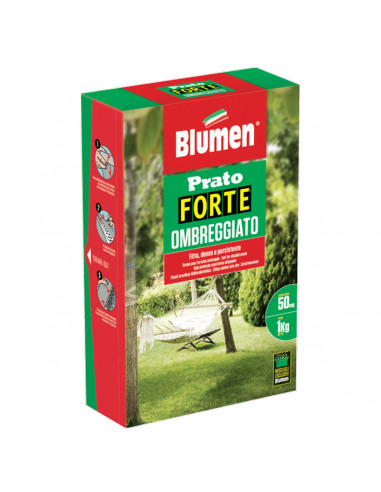 Sementi-Blumen-Prato-Forte-Ombreggiato