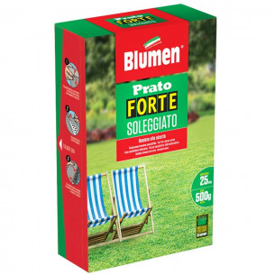 Sementi-Blumen-Prato-Forte-Soleggiato