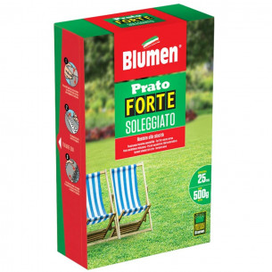 Semi per Prato Forte Soleggiato Blumen