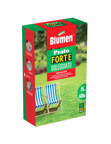 Sementi-Blumen-Prato-Forte-Soleggiato