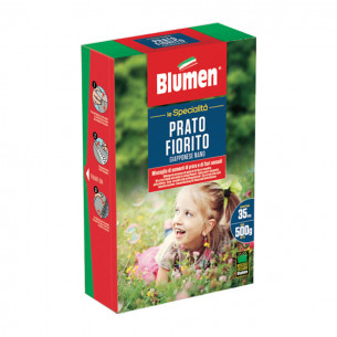 Semi Prato Fiorito Giapponese nano 500g Blumen