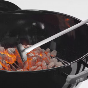 Bricchetti di carbone Weber 2