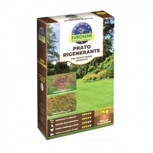 Semi per prato rigenerante 1Kg Euroseme ripara prati