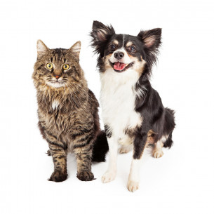 Disabituante cani e gatti 900g Flortis 2