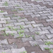 Erbicida totale concentrato Diserbosan 1L pronto uso