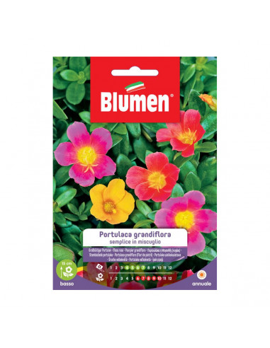 Seme per giardino fiore Portulaca grandiflora semplice Blumen
