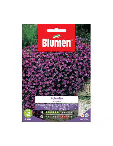 Semi per giardino fiore Aubretia porpora Blumen