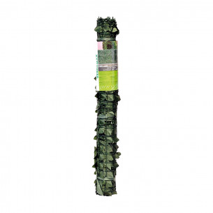 Siepe Verdecor a foglie tipo lauro Verdemax 2