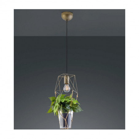 Plant lampadario sospensione 1x E27 Trio Lighting