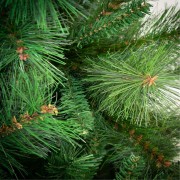 Albero di Natale realistico Amazzonia New con pigne Flora rami