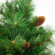 Albero di Natale realistico Amazzonia New con pigne Flora dettaglio