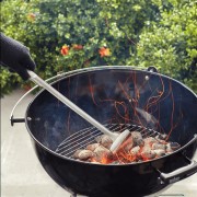 Bricchetti di carbone Weber