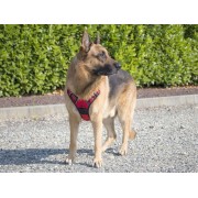 Pettorina-imbracatura-rifrangente-per-cani