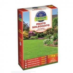 Semi per prato soleggiato 1 Kg Euroseme resistente al calpestio