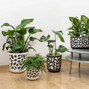 Duet portavaso da interno con inserto per piante e fiori antracite-crema Lamela 2