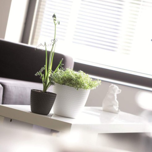 Vaso per piante e fiori Splofy in polipropilene Prosperplast
