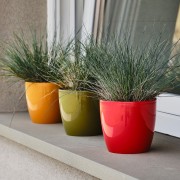 Portavaso da interno per piante e fiori Madeira finitura lucida Ø 14 cm Teraplast