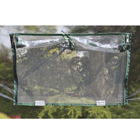 Serra da giardino Verdemax Narciso per piante orto L185xP240xh205 cm finestra