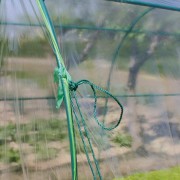 Serra per orto a tunnel Verdemax Premium L200xP300xH180 cm