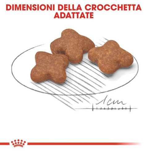 Royal Canin Mini Adult 8+ alimento secco per cani crocchette