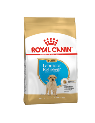 Royal Canin Labrador Retriever Puppy crocchette per cane 12kg