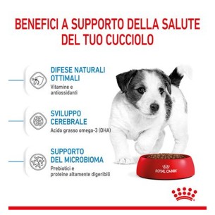 Royal Canin Puppy Mini crocchette per cuccioli 2-10 mesi 2