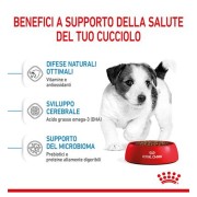 Royal Canin Puppy Mini crocchette per cuccioli 2-10 mesi