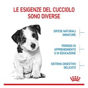 Royal Canin Puppy Mini crocchette per cuccioli 2-10 mesi