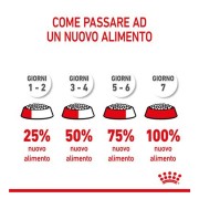 Royal Canin Puppy Mini crocchette per cuccioli 2-10 mesi