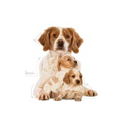 Royal Canin STARTER Mother e BabyDog medium alimento secco cane 4kg
