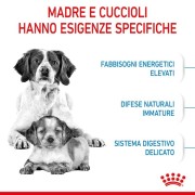 Royal Canin STARTER Mother e BabyDog medium alimento secco cane 4kg