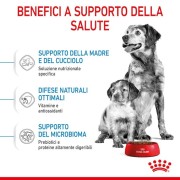 Royal Canin STARTER Mother e BabyDog medium alimento secco cane 4kg