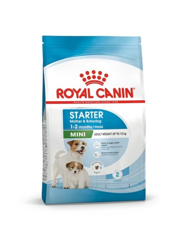 Royal Canin Mini STARTER Mother & Babydog MINI alimento secco cani 1kg