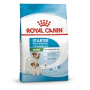 Royal Canin Mini STARTER Mother & Babydog MINI alimento secco cani 1kg