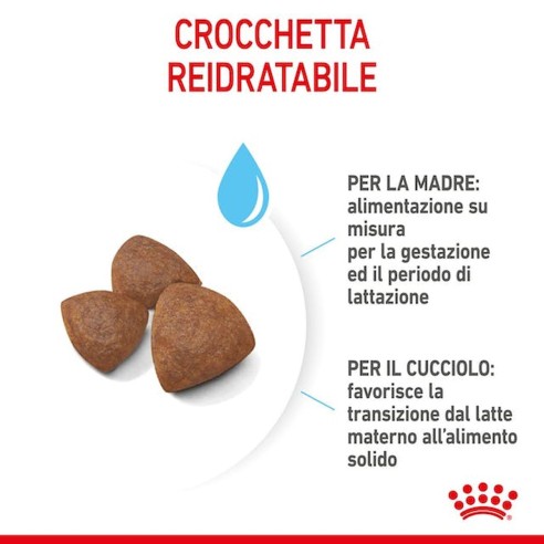 crocchetta reidratabile