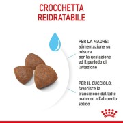 crocchetta reidratabile