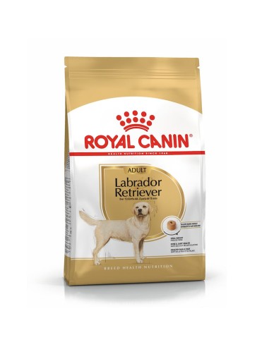 Royal Canin Labrador Retriever Adult alimento secco 12kg