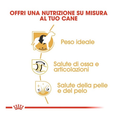 Royal Canin Labrador Retriever Adult alimento secco 12kg