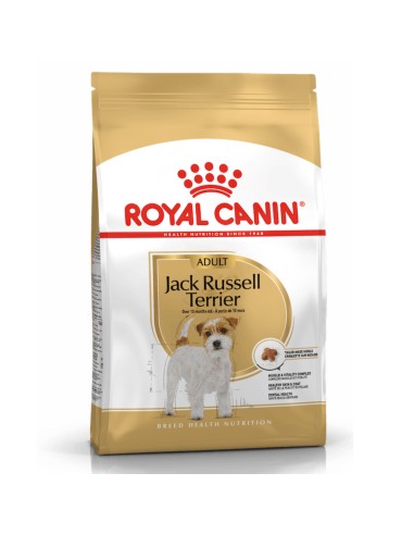 Royal Canin Jack Russell Adult alimento secco per cani