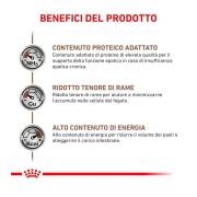 Royal Canin Hepatic alimento umido per cani