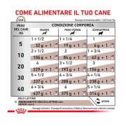 Royal Canin Hepatic alimento umido per cani