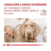 Royal Canin Hepatic alimento umido per cani