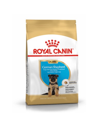 Royal Canin German Shepherd Puppy alimento secco cani