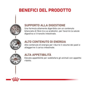 Royal Canin Gastrointestinal alimento umido cane 400g 2