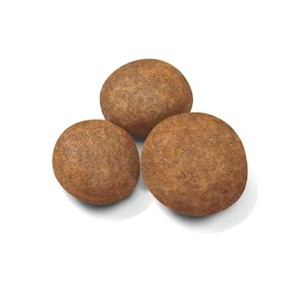 Royal Canin Puppy Maxi alimento secco cane 2